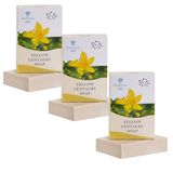 Anatolia Soap 1978 Sarı Kantaron Sabun | hücre yenileme Ve Leke Giderici Cilt Bariyer Onarıcı Yüz Sabunu 100 gr | 3'lü set