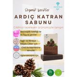 Anatolia Soap Ardıç Katranı Sabunu Mantar Karşıtı Saç Dökülmesine Karşı Kepek Karşıtı Arındırıcı