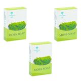 Anatolia Soap Belkıs Koleksiyonu 3x100 gr Yosun Sabunu