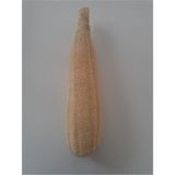 Anatolia Soap Kabak Lifi Uzunluk 40 cm ile 50 cm Kese Hamam Kesesi