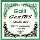 Anatolia Ud Teli - Galli Gr 75 Ud Teli Ücretsiz Kargo Ud Mızrabı Hediyeli