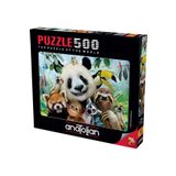 Anatolian 3596 Hayvanat Bahçesi Selfie 500 Parça Puzzle