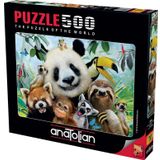 Anatolian 500 Parçalık Puzzle - Hayvanat Bahçesi Selfie 3596