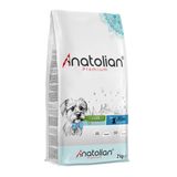 Anatolian Premium Mini Puppy Lamb 2 kg Kuzulu Küçük Irk Yavru Köpek Maması
