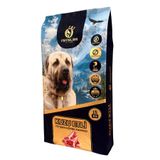 Anatolion Pet Foods Anatolion Kuzu Etli Super Premium Yetişkin Köpek Maması 15 Kg