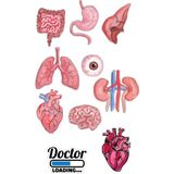 Anatomi Sticker Telefon Laptop Notebook Tablet Defter Matara Stiker Etiket ST1378