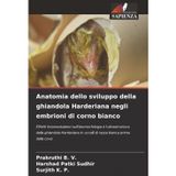 Anatomia dello sviluppo della ghiandola Harderiana negli embrioni di corno bianco