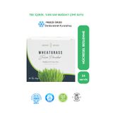 Ancient Greens Buğday Çimi Suyu Tozu 24 X 1g