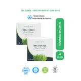Ancient Greens Buğday Çimi Suyu Tozu 48 X 1g