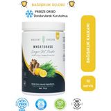 Ancient Greens Ginger Shot Büyük Boy 72G 30 Porsiyon Zencefil, Limon, Buğday Çimi Suyu Tozu Dondurularak Kurutulmuş, Glutensiz, Vegan