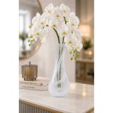 ANGDESİGN LALE VAZO ALABASTER VAZO BEYAZ || 22 Cm || Cam Vazo Dekoratif Vazo Çiçek Vazosu Modern Vazo Salon Vazosu Konsol Vazosu Masa Üstü Vazo Ev Dekorasyon Canlı Çiçek ve Kuru Çiçek Vazosu Sehpa Üzeri Salon