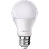 Angel Of Life Powermaster PMLED-12V E27 850LMN 10 Watt 12 Volt 6500K Beyaz LED Ampul