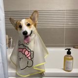 AnHome Komik Evcil Hayvan Saç Kesimi Giysileri Köpek Kedi Kostümü, Cadılar Bayramı, Noel, Partiler, Festivaller, Fotoğraf Çekimleri Küçük Orta ve Büyük Köpekler için Köpek Perukları (Taç Kesimi Giysileri-S)