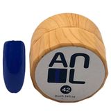 Anil Professional Cosmetics Paint Jel 42 10 ml Ahşap Kutu Kalıcı Oje