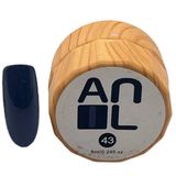 Anil Professional Cosmetics Paint Jel 43 10 ml Ahşap Kutu Kalıcı Oje