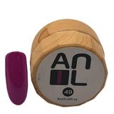 Anil Professional Cosmetics Paint Jel 49 10 ml Ahşap Kutu Kalıcı Oje