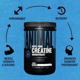 Animal Creatine Monohydrate Monohidrat 500 gr - 100 Servis - 100 SERVİS