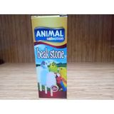 Animal Dondurma Gaga Taşı