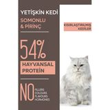 Animal World Somon Etli Kısırlaştırılmış Kedi Maması 15 Kg
