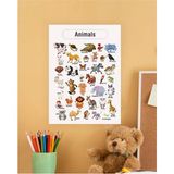 Animals-Hayvanlar Ingilizce Çocuk Eğitim Tekli Pvc Poster 21X30 cm