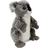 Animals Of The World Koala Kukla Peluş Oyuncak 26 cm - Gri - Standart