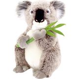 Animals Of The World Koala Peluş Oyuncak 30 cm - Standart
