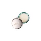 Anında Etkili Onarıcı Nane Dokunuşlu Kadife Dudak Balmı The Lip Balm - Dudak Balmı 9g