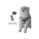 Ankaflex Kedi Göğüs Tasması Kedi Gezdirme Tasması Kediler Için