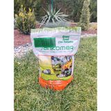 Ankomer Grass Seed Ithal Çim Tohumu Mixture 6 Mix 1kg - 1 kg