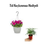 Anneler Gününe Özel Askılı Pembe Petunya Çiçeği Tül Kuşkonmaz