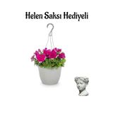 Anneler Gününe Özel Pembe Renk Askılı Petunya Bitkisi Helen Saksı Hediyeli