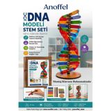 Anoffel Dna Modeli 2 Adet Ahşap DNA Yapım Seti Dna Sarmalı Deney Yapım Seti Okul Materyali Fen Bilimleri