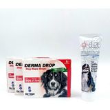 ANS 21-40KG Köpekler Için Deri Bakım Damlası 3 Kutu + Multivitamin