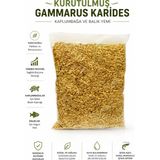 Ans Gammarus ( Karides) Balık Ve Kaplumbağa Yemi 250 Gr