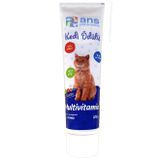 ANS Multivitaminli 100 gr Kedi Ödülü