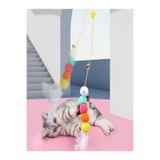 Ans Tavana Asılan Kedi Oyuncağı