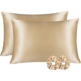 Ant Home Teks Ipek Saten Dokulu 50 x 70 cm Yastık Kılıfı 2 Adet Ant2021 - 50X70 - Bej