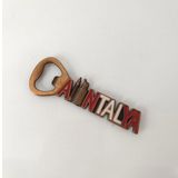 Antalya Gorselli Metal Acacak Miknatisli Magnet Buzdolabi Susu Sise Acacagi Bakir Renk
