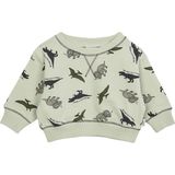 Antebies Organik Bej Dinazorların Macerası Desenli Manşetli Erkek Bebek Sweatshirt - 0 - 3 Ay - Yeşil