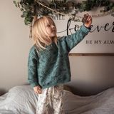 Antebies Organik Yeşil Hayvanlar Alemi Desenli Kapitone Manşetli Erkek Bebek Sweatshirt - 6 - 9 Ay