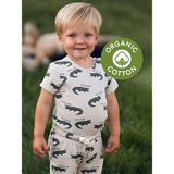 Antebies Timsah Kısa Kollu Body Pantolon Set - 9-12M - Yeşil