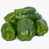 Antep Acı Dolma Biber Fidesi-5 Adet