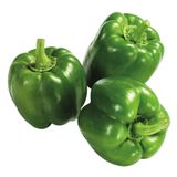 Antep Acı Dolma Biber Tohumu 25 gr Paket