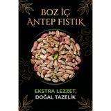 ANTEP FABRİKASI BAKLAVALIK | BOZ İÇ Antep Fıstık 500 g