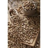 Antep Fıstığı (Anaçıtlak) 250 gr