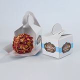 ANTEP FISTIKLI LOKUM (GÜL YAPRAĞI KAPLI) 250G (10 ADET TEKLİ KUTU İÇERİSİNDE)
