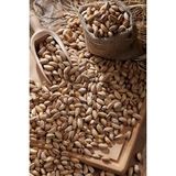 Antep Marketi Antep Fıstığı %99 Ana Çıtlak - 100 gr