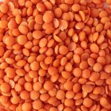 Antep Yerli Kırmızı Mercimek 1 Kg