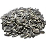 Antepsel Dakota Çekirdek Tuzsuz 1 KG