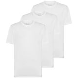 Anthony Jackson 3'lü Kutu Premium Erkek T-Shirt Starlight (AJ-303 A, L)